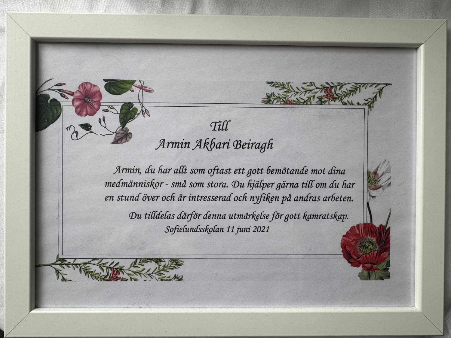 School award for good camaraderie