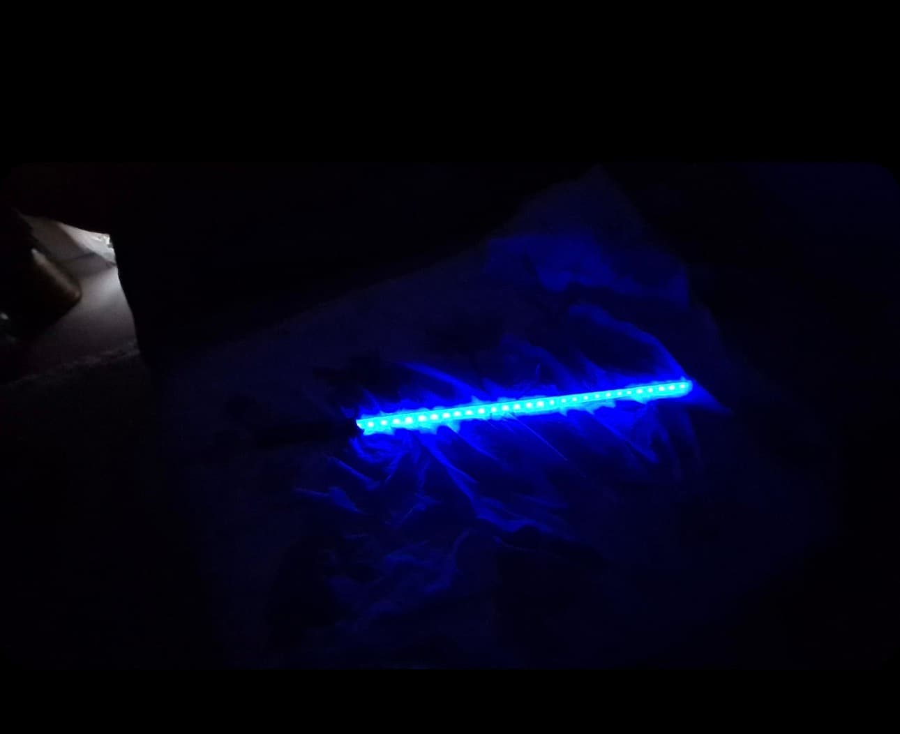 The blade running blue